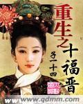 重生之十福晋小说阅读