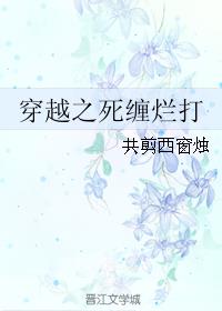 穿越之死缠烂打小说阅读