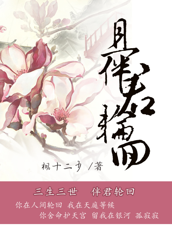 且伴君轮回小说阅读