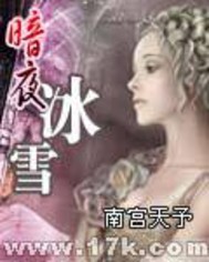 暗夜冰雪小说阅读