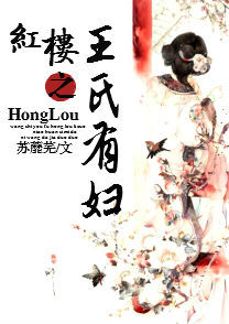 红楼之王氏有妇小说阅读