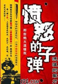 愤怒的子弹小说阅读