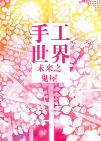 未来之手工世界小说阅读