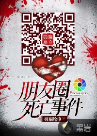 朋友圈死亡事件小说阅读