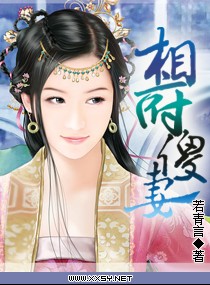 相府傻妻小说阅读