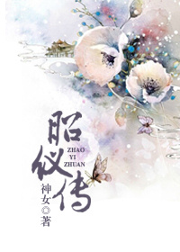 昭仪传