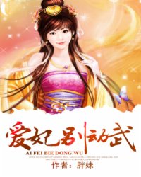 爱妃别动武小说阅读