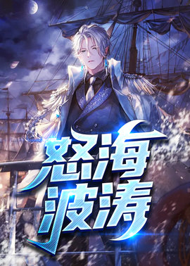 怒海波涛小说阅读