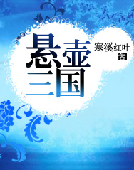 悬壶三国小说阅读