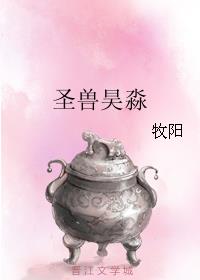 圣兽昊淼小说阅读