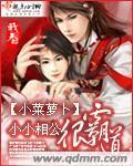 小小相公很霸道小说阅读