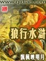 狼行水浒小说阅读