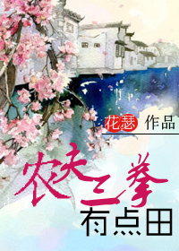 农夫三拳有点田小说阅读