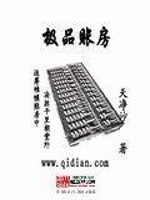 极品账房小说阅读