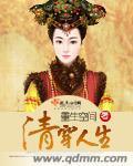 清穿人生小说阅读
