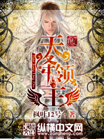 天降领主小说阅读