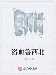 浴血鲁西北小说阅读