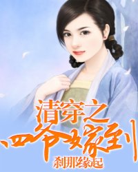 清穿之四爷嫁到小说阅读