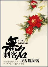 刺客无名小说阅读