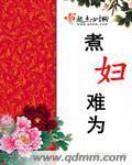 煮妇难为小说阅读