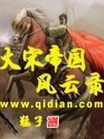 大宋帝国风云录小说阅读