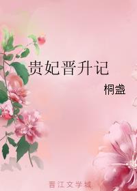 贵妃晋升记小说阅读