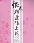 穿越之陌上花小说阅读