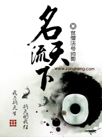 名流天下小说阅读