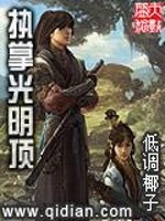 执掌光明顶小说阅读