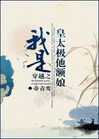 穿越之我是皇太极他额娘小说阅读