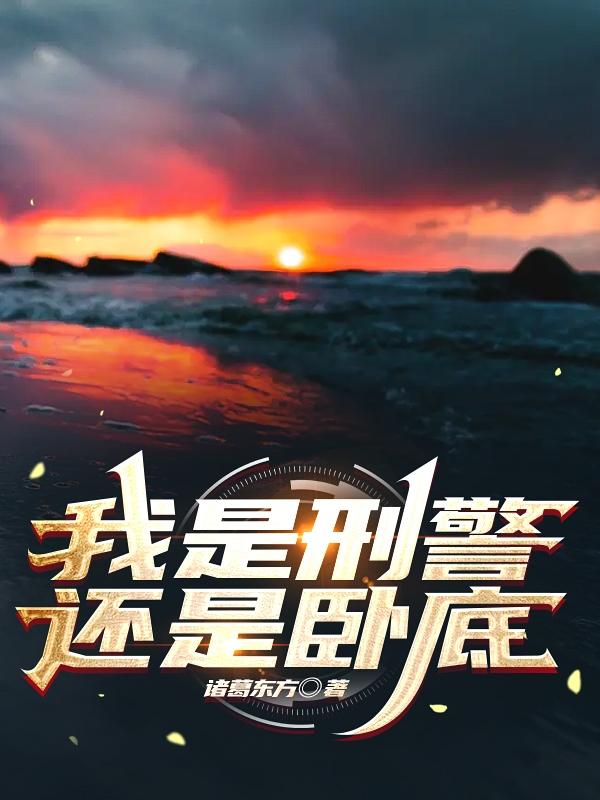 我是刑警还是卧底小说阅读