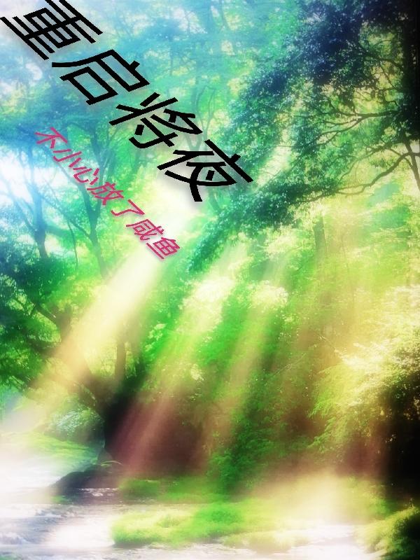 重启将夜小说阅读