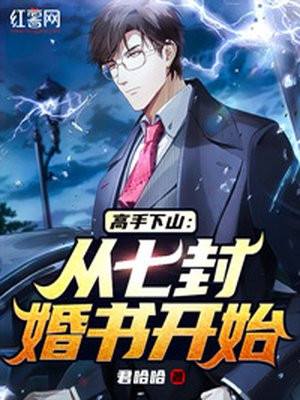 高手下山：从七封婚书开始小说阅读