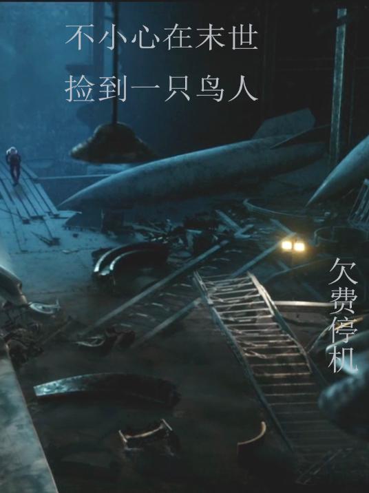 不小心在末世捡到一只鸟人小说阅读