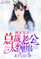 独家宠妻：总裁老公太缠绵