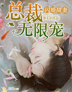 闪婚甜妻：总裁无限宠小说阅读