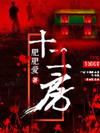 十二房小说阅读
