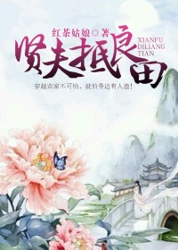 贤夫抵良田小说阅读