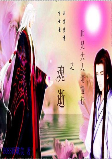 师兄大人请慢行之魂逝小说阅读