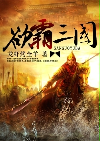 欲霸三国小说阅读