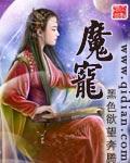 魔宠小说阅读