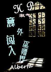 意外闯入巫师界小说阅读