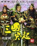 三国突起小说阅读