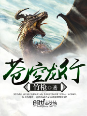 苍空龙行小说阅读