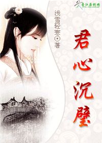 君心沉璧小说阅读