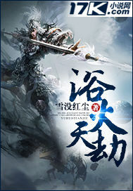 浴火天劫小说阅读