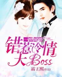 一醉成婚：错惹冷情大boss小说阅读