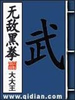 无敌黑拳小说阅读