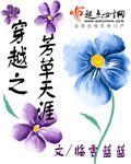 穿越之芳草天涯小说阅读