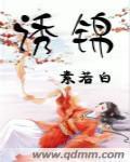 诱锦小说阅读